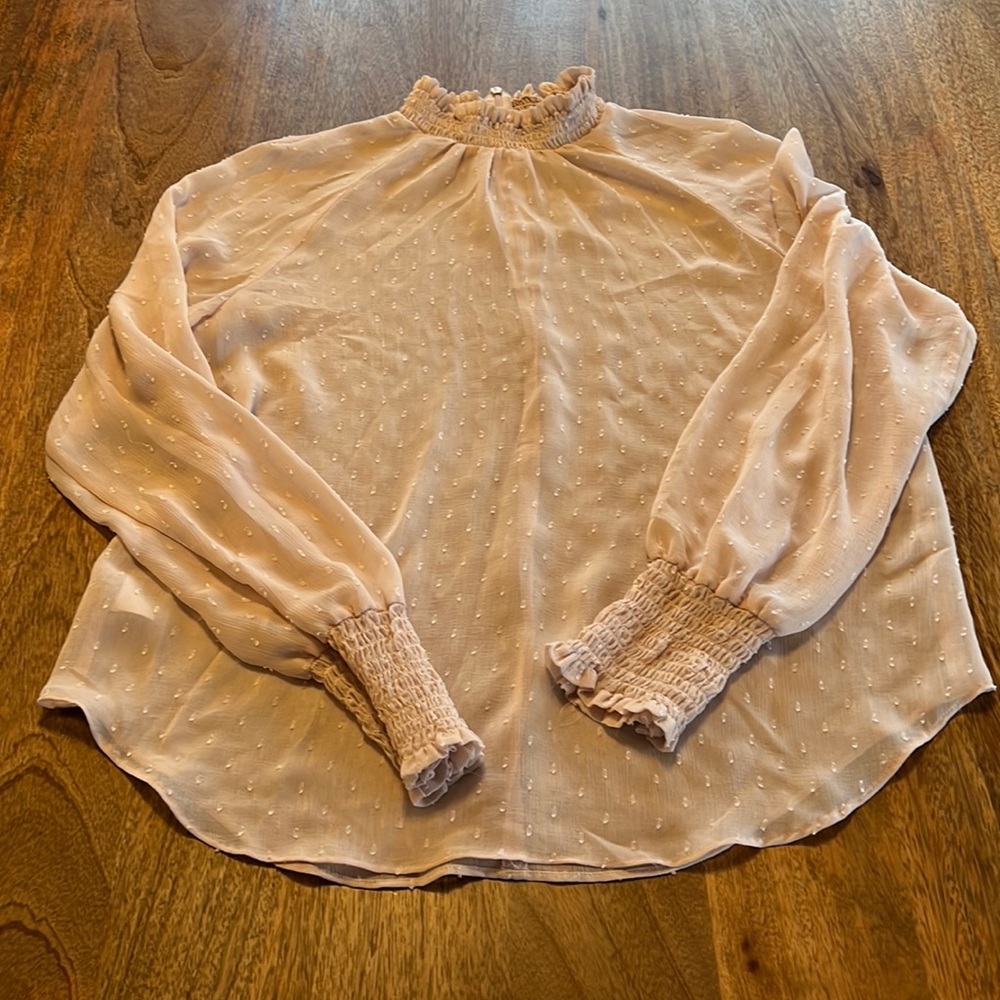 Ann Taylor Sheet Blouse
